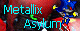 Metallix Asylum